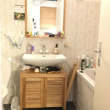 公寓 By Interhome 克莱恩 蒙塔纳